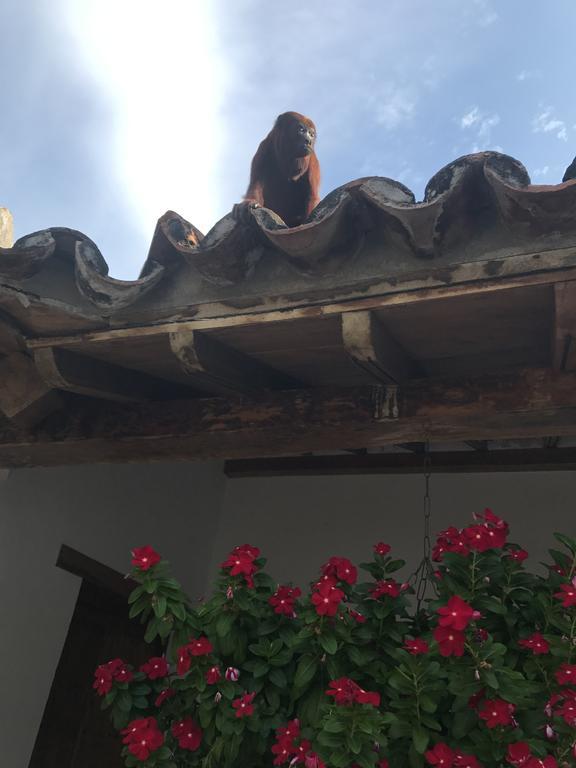 La Casa Amarilla Bed and Breakfast Mompos Εξωτερικό φωτογραφία